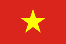 ベトナム国内での仕事